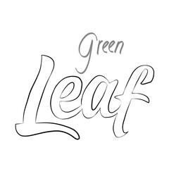 green leaf writing sketch style on white background