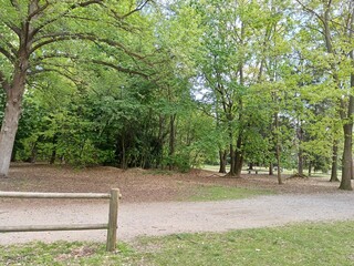 path in the park