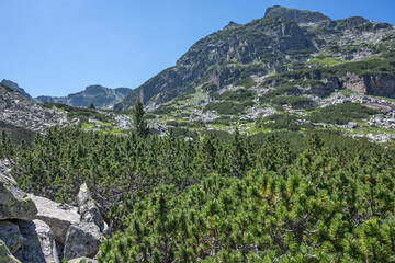 Landscape of Rila Mountain near Malyovitsa peak, Bulgaria