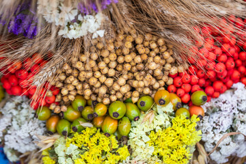 Dried helichrysum mix of colors (hypsispermum, immortelle, Helichrysum). Bouquet of dried colorful flowers.