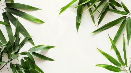 Green bamboo leaves on a white background, arranged to frame a blank space in the center.