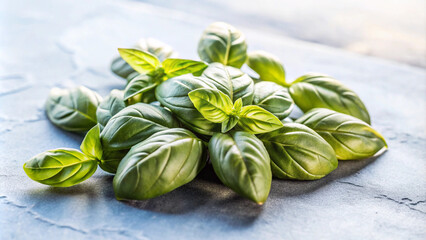 A High-Resolution Image of a Handful of Fresh Aromatic Ingredients
