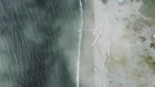 Ocean Shoreline Fog