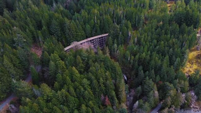 Westcoast Forest Trestle Bridge