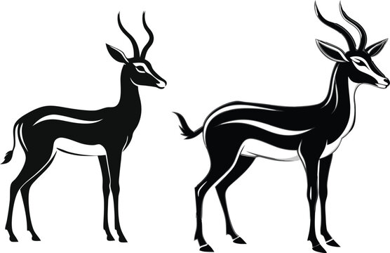 springbok vector art illustration vector illustration 