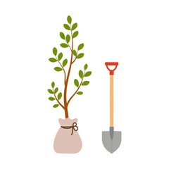 Tree sapling with closed roots and leaves on branch and shovel nearby. Vector illustration