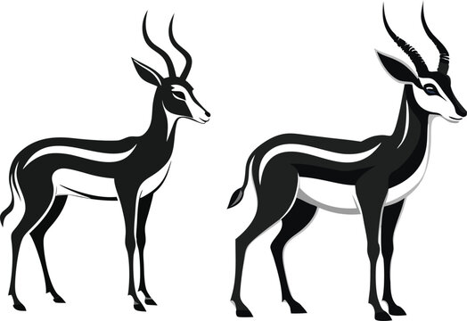 Springbok Vector - Images et vidéos libres de droits | Adobe Stock