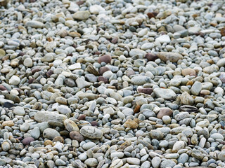 A pile of rocks with a few white ones. The rocks are scattered and there are some that are larger than others