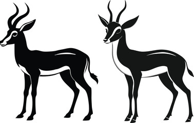 springbok vector art illustration vector illustration 