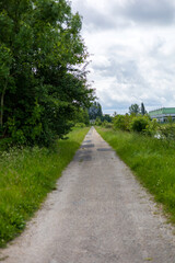 A tranquil country road stretches through lush greenery under an overcast sky in Chalette-sur-Loing, France