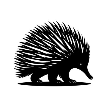 recommend clip art: Echidna silhouette, vector black color silhouette