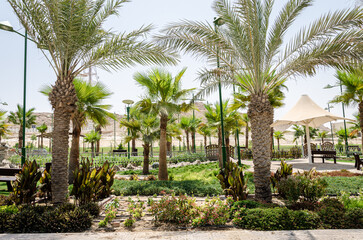 Obraz premium Landscaping in a park