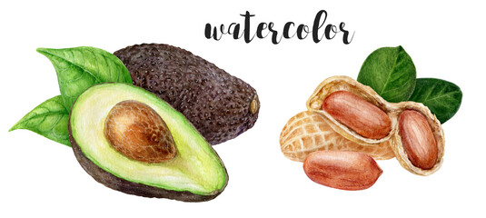 A vibrant and colorful Watercolor Illustration featuring Avocado and Peanuts as the main subject