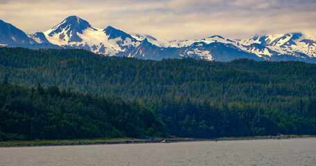 Whale Watching Near Juneau Alaska