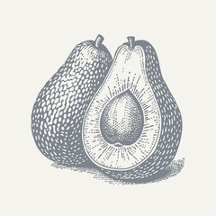 Composition of Avocados. Vintage woodcut engraving style vector illustration.