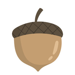 Acorn vector autumn illustration