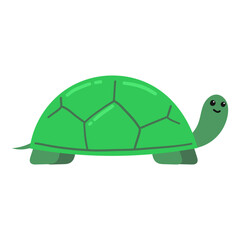 Green Turtle cartoon illustration