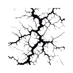 Fissures in the ground, fractures in the wall, or split lines in the concrete. Vector fracture pattern on a background of a wall. White background. 
