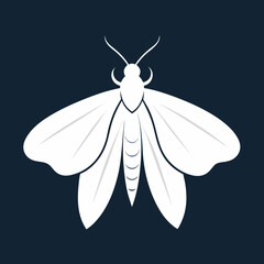 illustration of a butterfly
