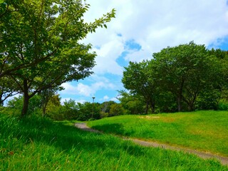 landscape with beautiful sky and cloud