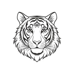 Fototapeta premium head of tiger