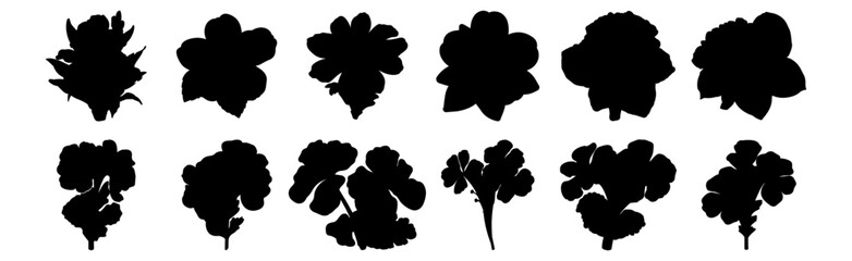 Flower silhouettes set, pack of vector silhouette design, isolated background