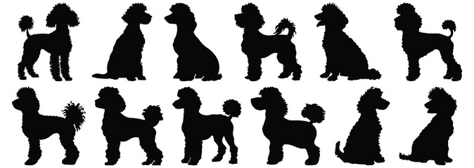 Poodle silhouettes set, dog pack of vector silhouette design, isolated background