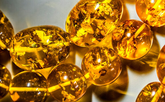Colorful golden Baltic amber, Gdansk, Poland. Amber capital of the world. Amber 40 million years old. Found Gdansk Beaches 6000 years. Plant pollen in amber.