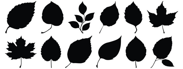 Leaf silhouette set vector design big pack of foliage illustration and icon
