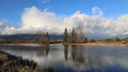 Fototapeta premium Autumn trees reflecting in peaceful river