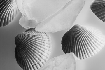 Shells and blue glass with light