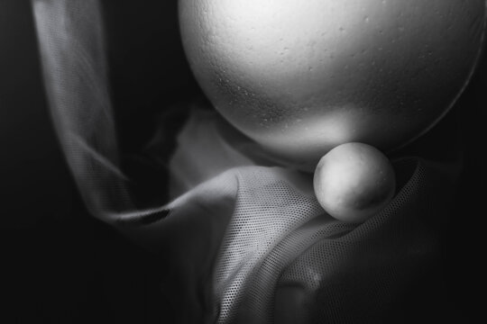 Shapes in black and white