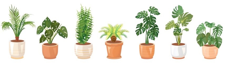 Fototapeta premium set of various plants in pots illustration, green leaves plants vector art style .different types of houseplants in the plant pot. 
