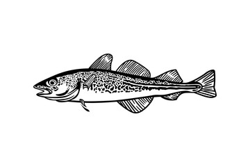Trout Fish Hand Drawn Illustration Black and White. vintage style design. © 1234design
