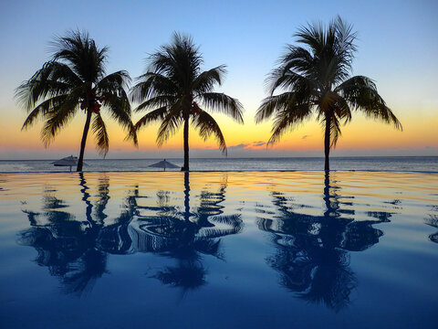 Caribbean, Honduras, Roatan. Infinity pool surrounded by palm trees after sunset.