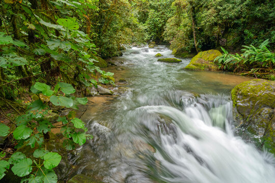 Costa Rica, Cordillera de Talamanca. Savegre River landscape rapids.