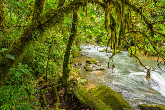 Costa Rica, Cordillera de Talamanca. Savegre River landscape rapids.