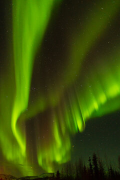 USA, Alaska, Fairbanks. Northern lights patterns and colors. 