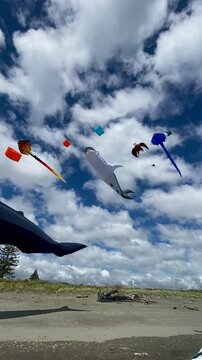 Vibrants and Colorful kites surfing on the beautiful blue sky at Otaki beach, New Zealand 