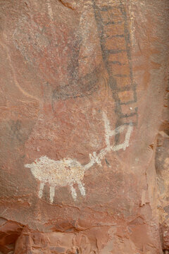 USA, Arizona, Sedona. Animal petroglyphs at the Palatki Ruins