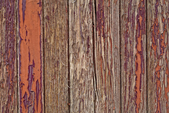 USA, California, Bishop. Detail of peeling paint on side of box car at Laws Railroad Museum. 