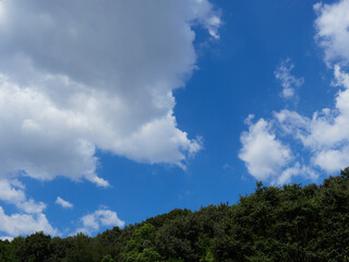 夏の綺麗な青空と緑の森の風景