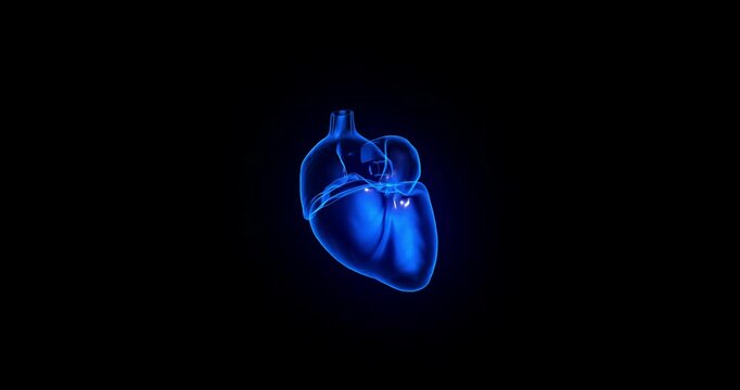 Holographic projection of a rotating beating heart