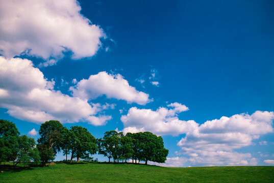 Mother Lode Country, Sierras, California