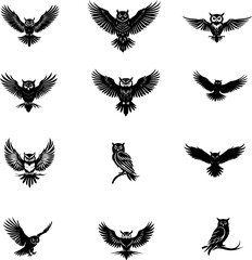 Hibou ou chouette, silhouette et line art isol&eacute;, en set pour halloween, vecteur noir fond transparent. Id&eacute;al composition logo, livre, illustration, page. 