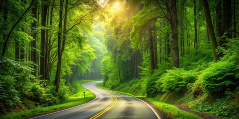 Fototapeta premium Road winding through lush green forest, forest, road, trees, nature, landscape, scenic, wilderness, environment, outdoor