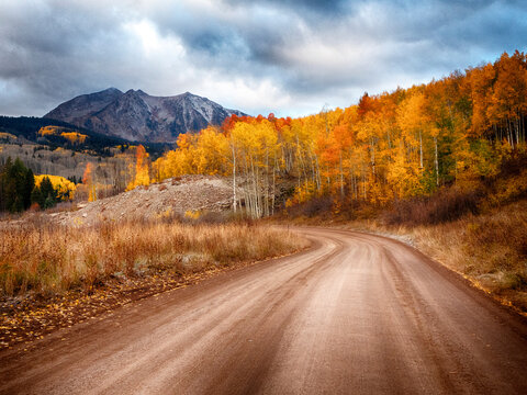 USA, Colorado, San Juan Mts. Road leading through an aspen grove towards East Beckwith Mountain in the fall.