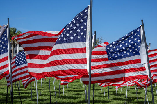 American flags displayed on Veteran's Day, New Smyrna Beach, Florida