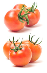 fresh tomatoes on white background 
