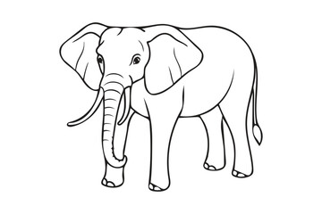 Fototapeta premium elephant illustration line art